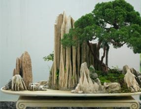 假山盆景风水禁忌  假山盆景作用